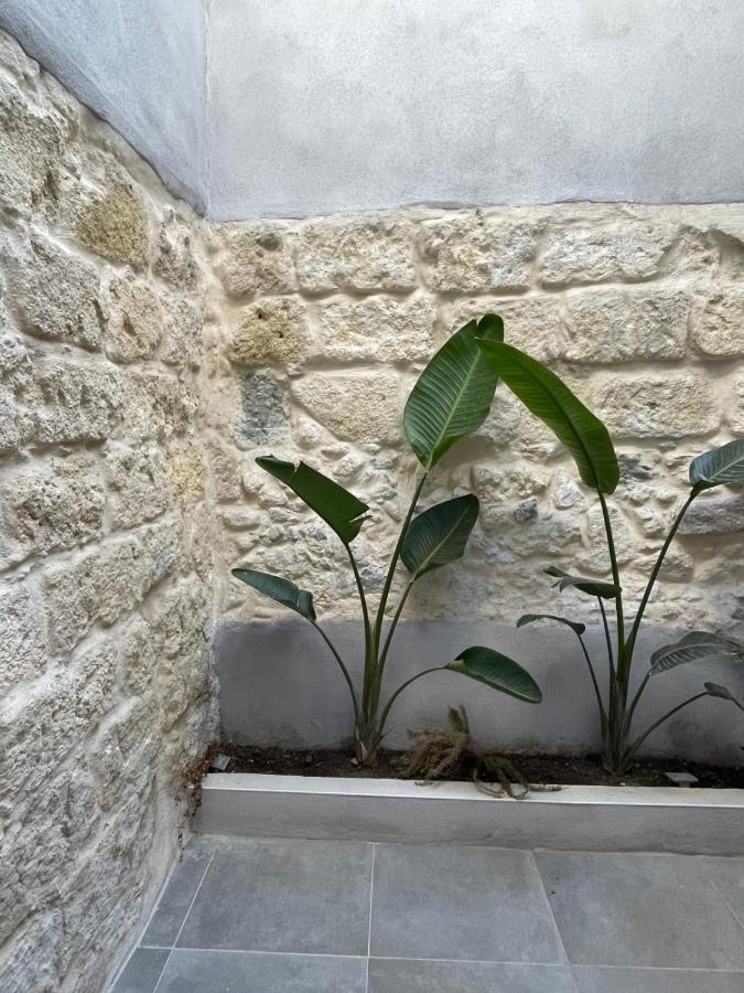 Maison Poissonnerie Le Grau-du-Roi Exteriör bild
